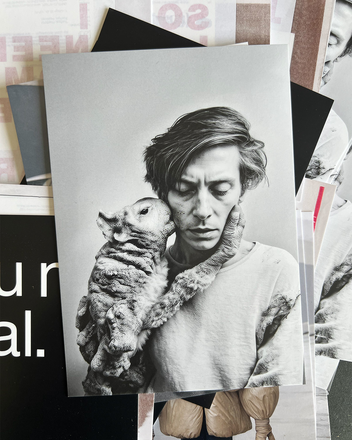 Esther Hunziker / blanko.ch / Postcards