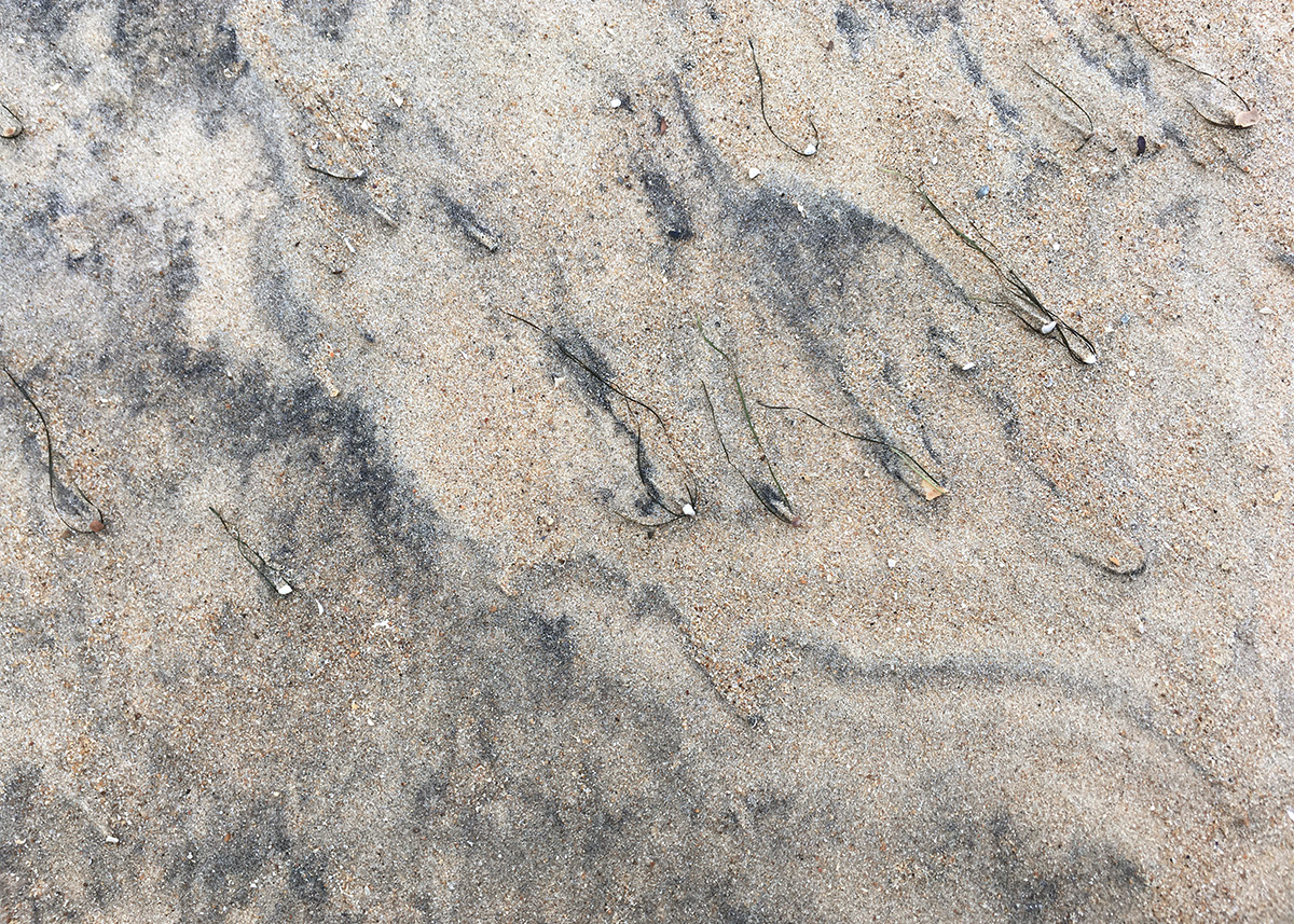 Esther Hunziker «Traces» 