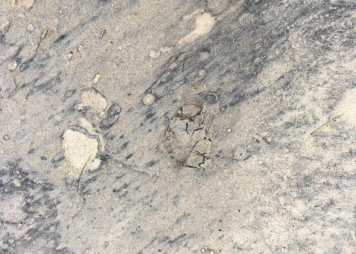 Esther Hunziker «Traces» 