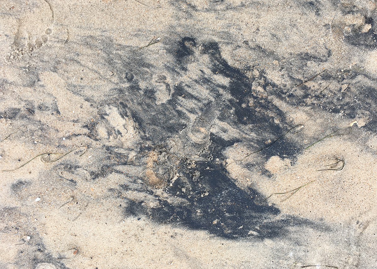 Esther Hunziker «Traces» 