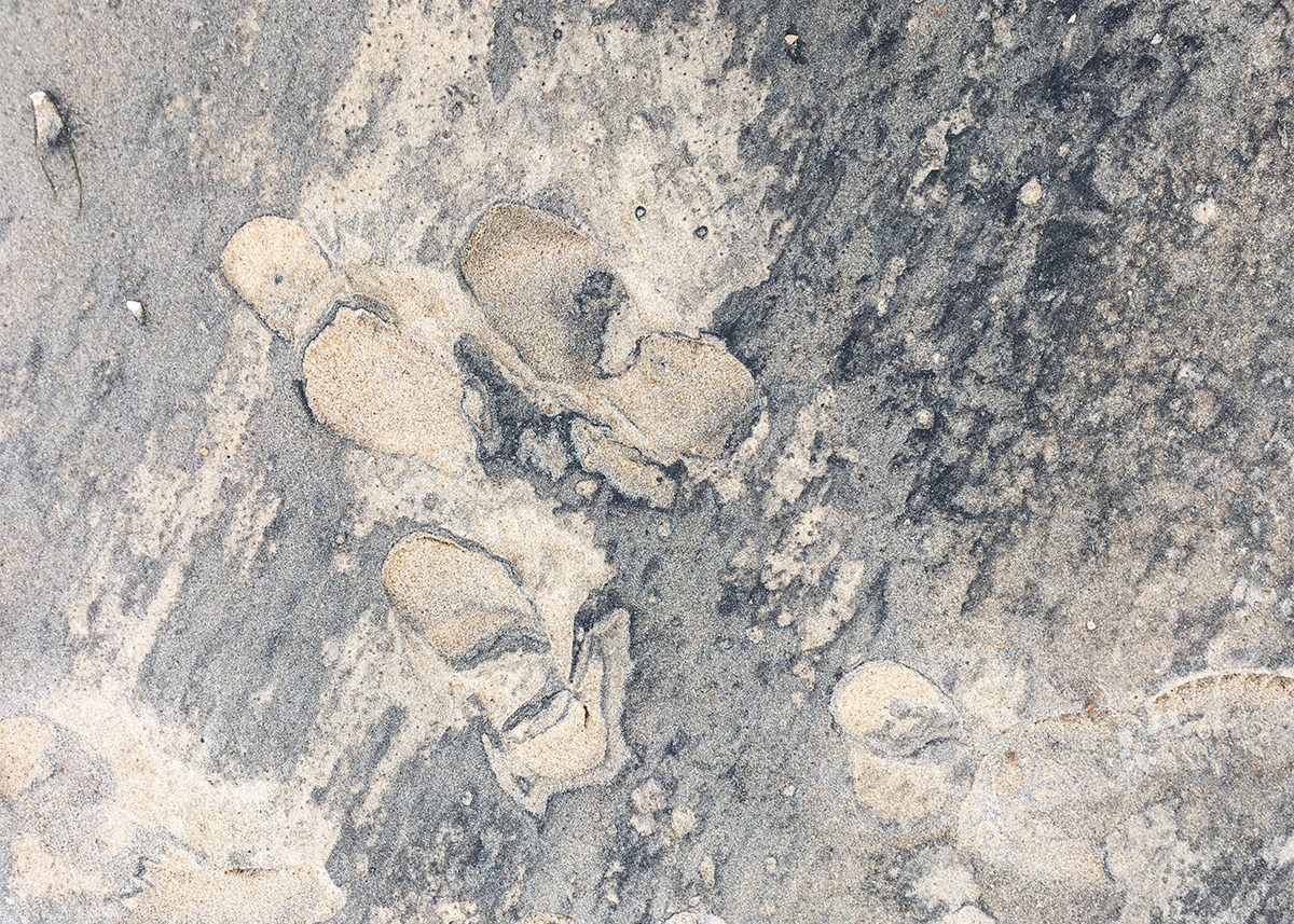 Esther Hunziker «Traces» 