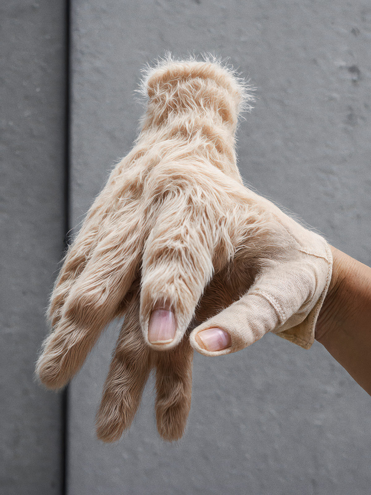 EstherHunziker MyWearable Pets, AI generated photo serie