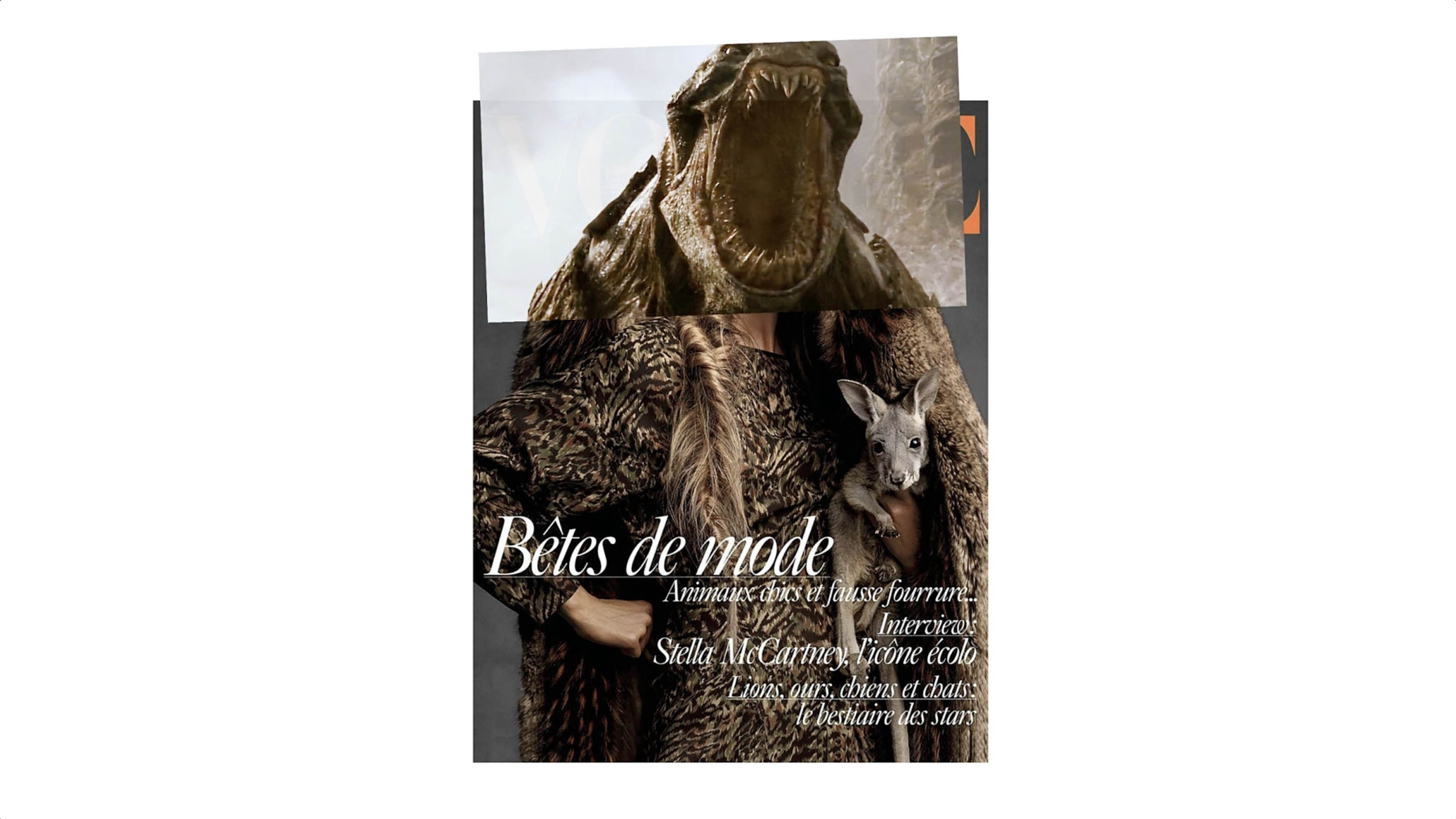 Esther Hunziker – VOGUE (Cover Creatures), 2022/24