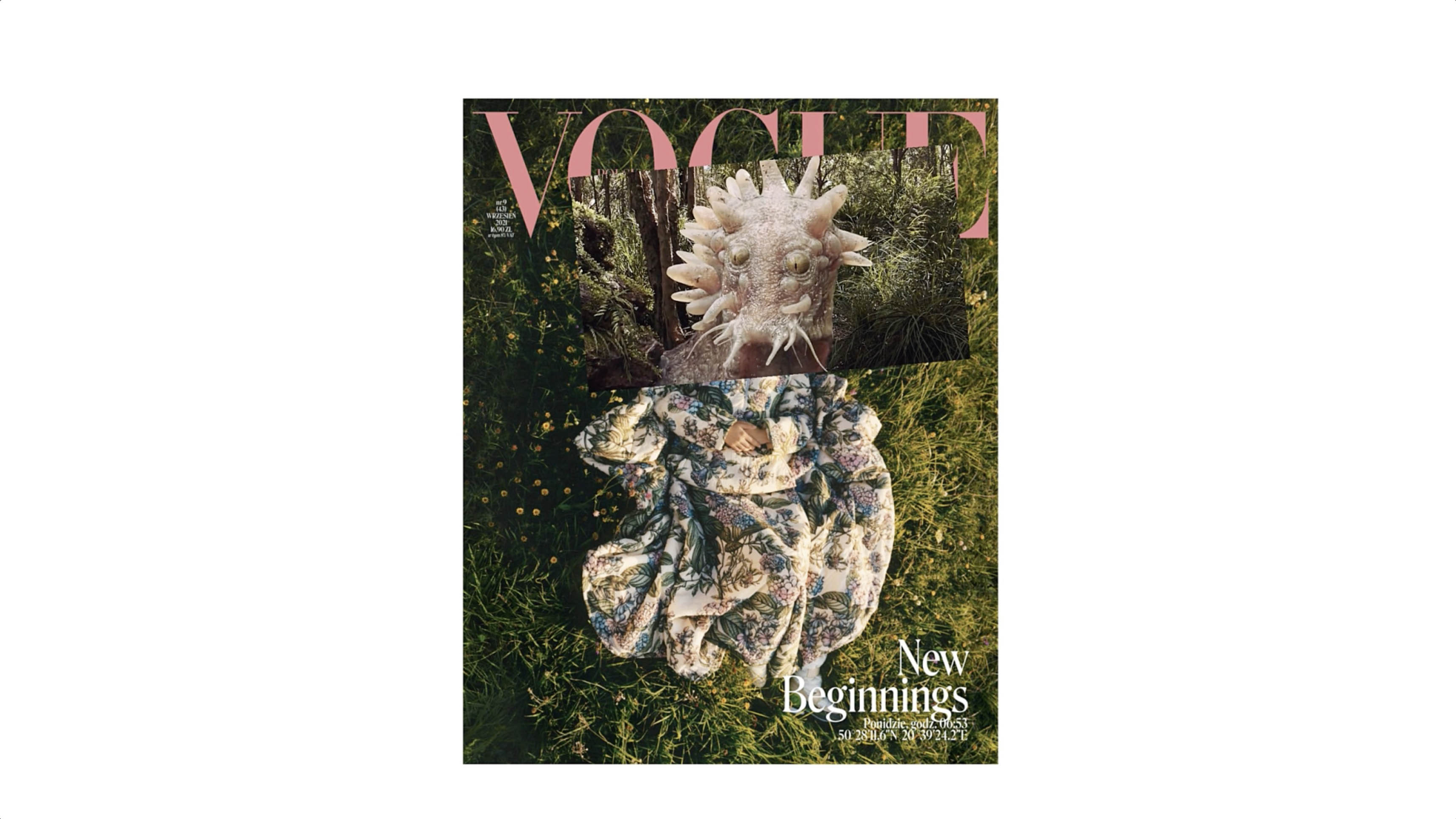 Esther Hunziker – VOGUE (Cover Creatures), 2022/24